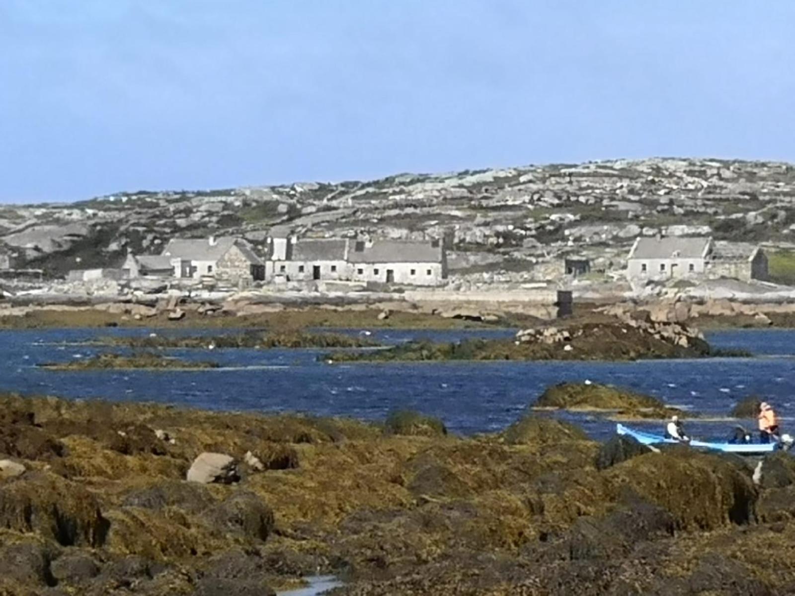 The Haven Apartment Galway Bagian luar foto